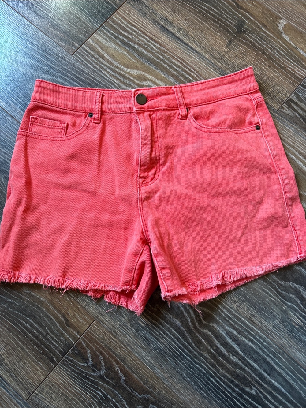 BDG Frayed Hem Denim Shorts